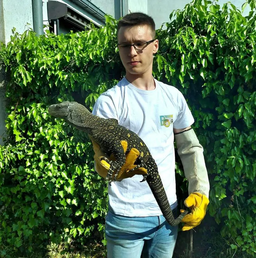 Boris Levecq, fondateur de Bo Lights, avec un varan