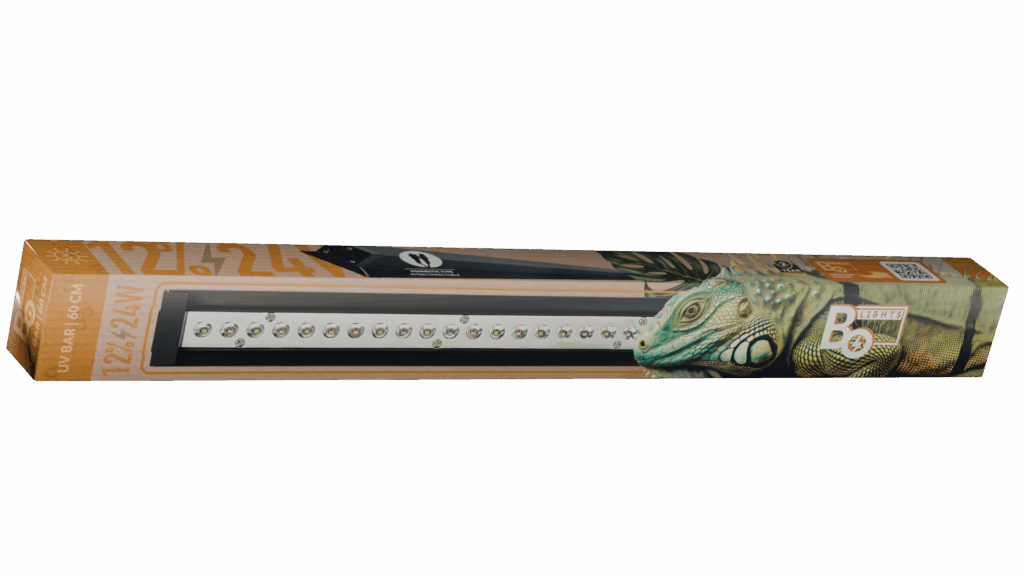 12% 24W Rampe 12% 24W