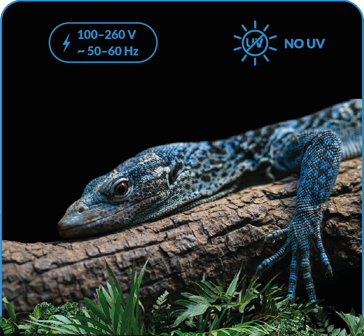 No UV Varan No UV Varan