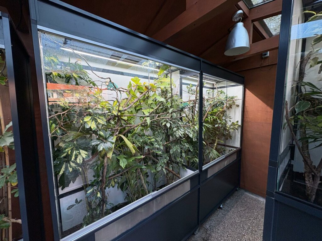 Terrarium Clairière Terrarium Clairière