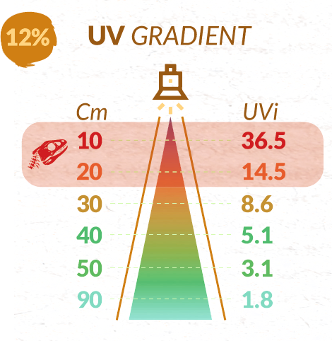 UVI-12-transparent UVI-12-transparent