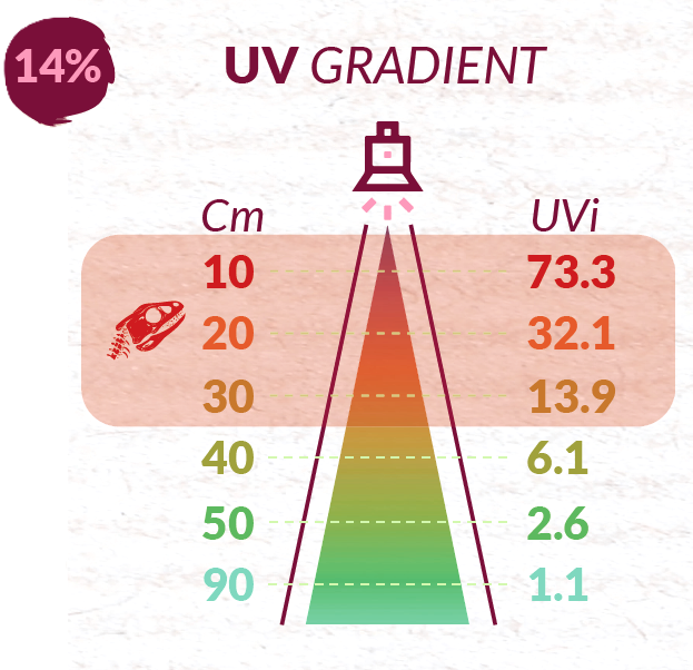 UVI-14-transparent UVI-14-transparent